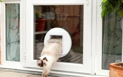 Katzenklappe mit Chip in einer weißen Tür von NORTA. Sicherer Eingangsbereich für Katzen, der ungebetene Gäste fernhält.