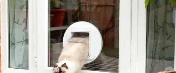 Katzenklappe mit Chip in einer weißen Tür von NORTA. Sicherer Eingangsbereich für Katzen, der ungebetene Gäste fernhält.